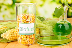 Thorne biofuel availability